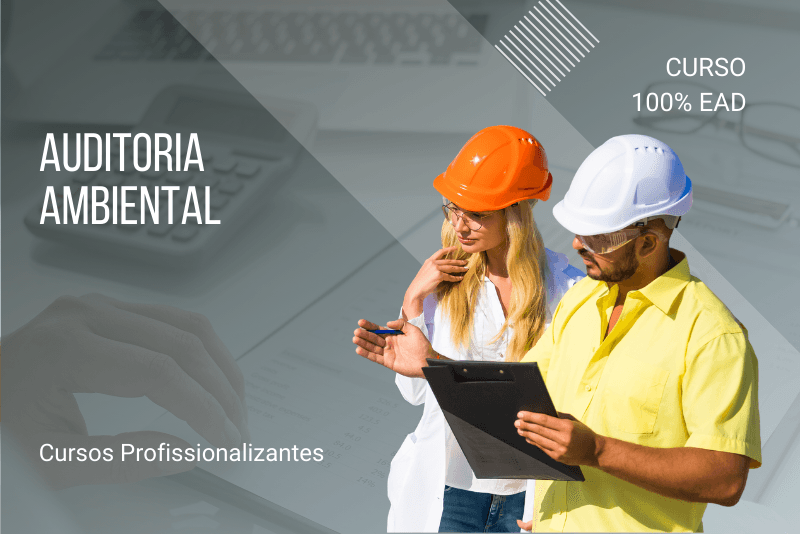 Auditoria Ambiental - 80 Horas