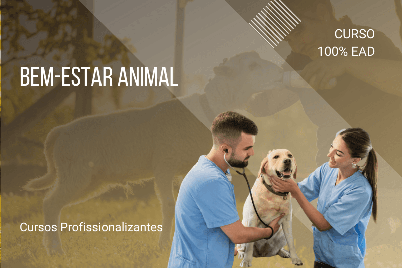 Bem-Estar Animal - 80 horas