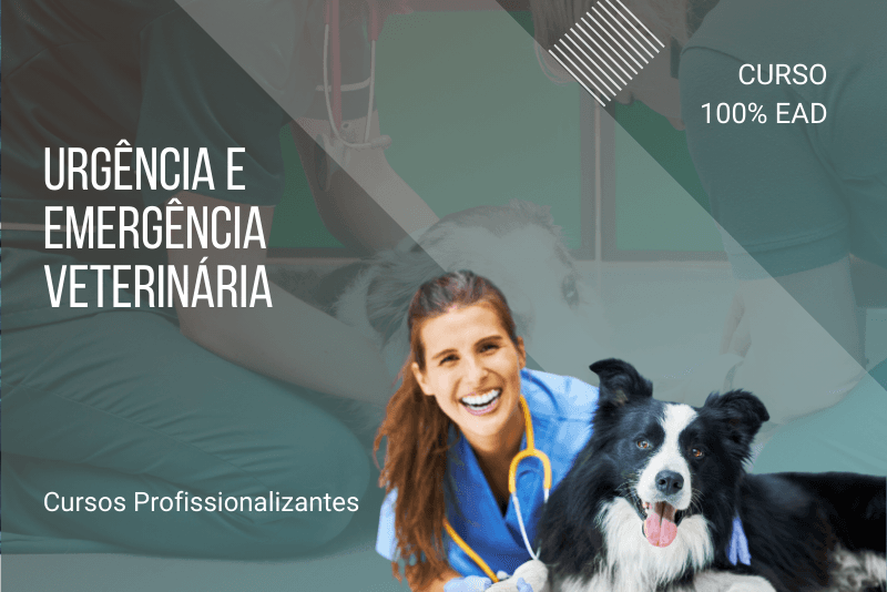 Urgência e Emergência Veterinária - 80 horas
